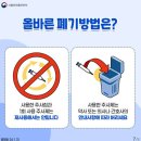 투연
