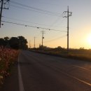 옹동면사무소 이미지