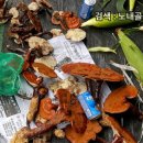 산영농장 네이버블로그