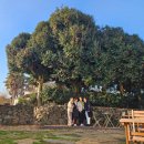 남원읍-3 | 서귀포남원읍 여성전용숙소 정원책방 별채 이용후기