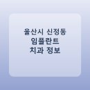 한솔치과의원 | 울산시 신정동 임플란트 비용·가격·후기 총정리