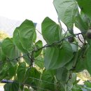 재준농장 이미지