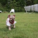 달이네집 이미지