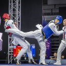 메이트 태권도 이미지