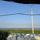 헬씨나인 | 또 🇮🇩 Day(4) - 길리 서핑 초보 추천 (sunny surfschool), 터틀포인트 와리조트 (Wah resort), 잘리키친...