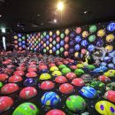 원더파크 이미지