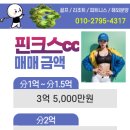 핀크스CC 이미지