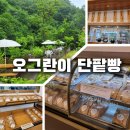 [오그란이 단팥빵] 영월 단팥빵 맛집 방문 솔직후기