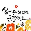 캘리그라피 이미지