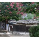 바우길 10구간 이미지