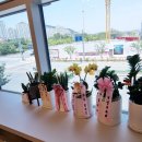 율하 다나동물병원 이미지