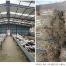 이레목장 1 이미지