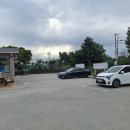 제주공항맛집 김희선제주몸국 성게미역국