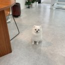 무거동 봄이네 이미지