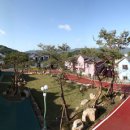 오크랜드 이미지