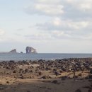 상모리-12 이미지