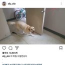 개스타 이미지