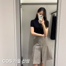주)탑크리닝 | COS 코스 가을 신상 | 메리노울 하이넥 탑 니트, 플리츠 미디 스커트 입어보기