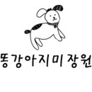 강아지 미장원 이미지