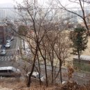 대구복명초등학교 이미지