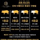 미트하우스 이미지