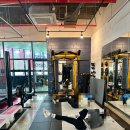 셀럽바디 이미지