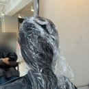 루리헤어살롱 한성대역점 신데렐라클리닉 후기 - 애견동반 가능