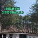 상천초 물로분교장 네이버블로그