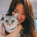 키라키라 네이버블로그