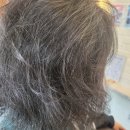 미소교역 | 빗질이 안 되는 '녹은 머리' 포기 마세요! 매교동 엘리시아 헤어에서 윤기 되찾은 후기