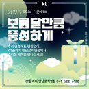 KT 플라자 횡단보도 네이버블로그