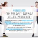 핏점핑스타