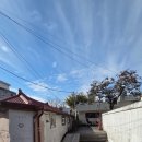 조각구름 | 대전역 뒷편 힐링카페 ☁️ 책 읽기 좋은 카페 조각구름