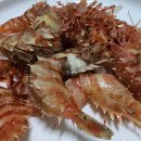 옥동돌문어 이미지