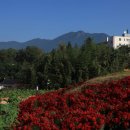 남산공원 이미지