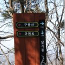 진등농장 Daum카페