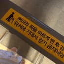 결국 허리디스크 수술 엔딩