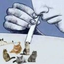 고카인 이미지