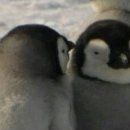 초원 양꼬치 이미지