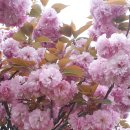 보훈주유소 이미지