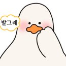 형아포차 이미지