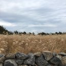 송림목장 이미지