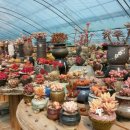 일오삼농장 이미지