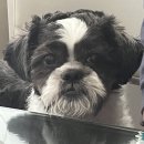 (주)겜짱 | #39. 얼레벌레 청춘