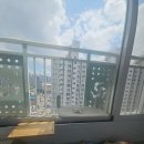 우리고양이 | ​[우리나무공방] 고양이 창틀 선반 후기! 아깽이 맞춤 고양이 창문 쉼터 해먹 설치