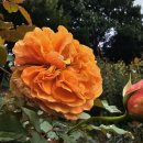 오늘 밤 9시 달리기 이미지