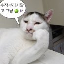 임씨 가묘 | ⚾️꾸짖을갈! 하고싶은 2025 롯데자이언츠 직관 후기 모음#④ 사직야구장 먹거리 추천,2025 야구 올스타전...