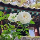 석장 이미지