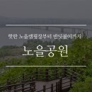 노을캠핑장 이미지