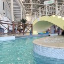 신나라푸드 이미지